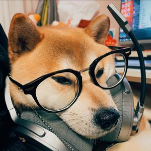 另类欧美视频二区
