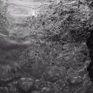 另类欧美视频二区
