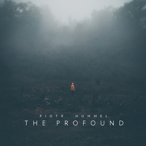 另类欧美视频二区
